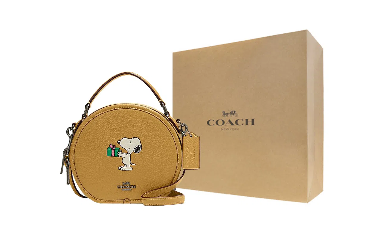 COACH x Peanuts Snoopy Dempsey 18