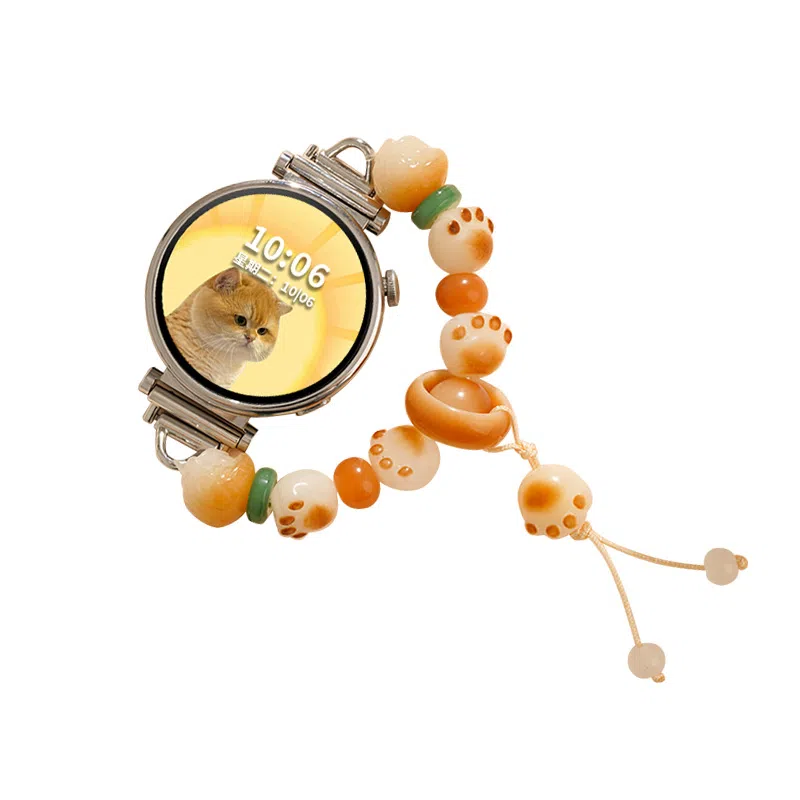 gt4watch4gt3progt2GT