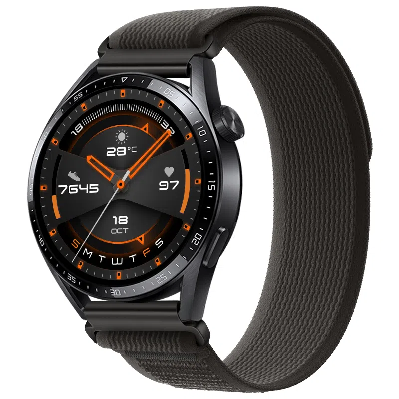 FZRT watch4gt4GT34pro3probuds