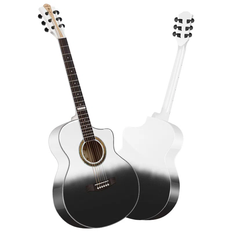 Guitarist V8