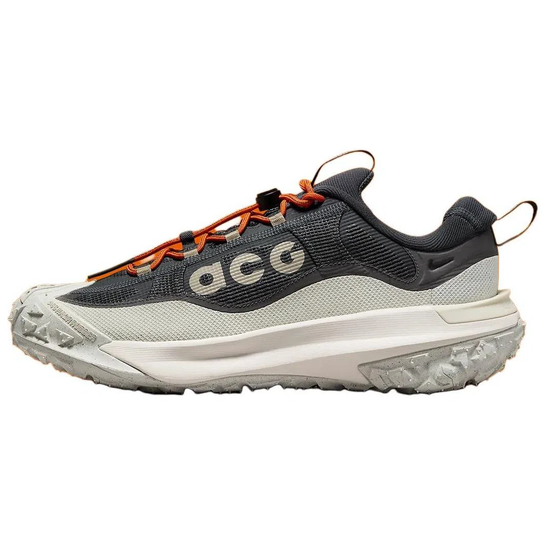 Nike ACG Mountain Fly 2 Low Gore-Tex