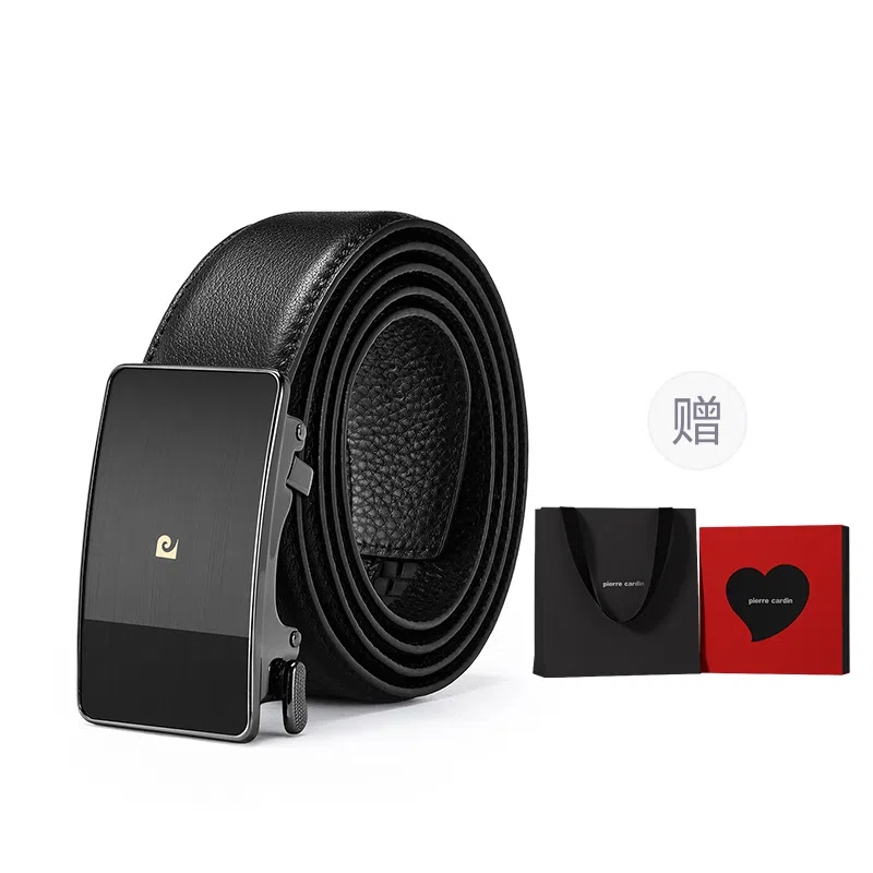 PIERRE CARDIN logo 3.6CM