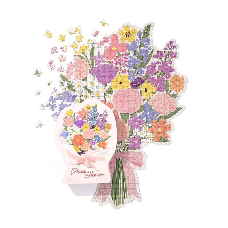 DREAM FRIENDS 520pcs ar