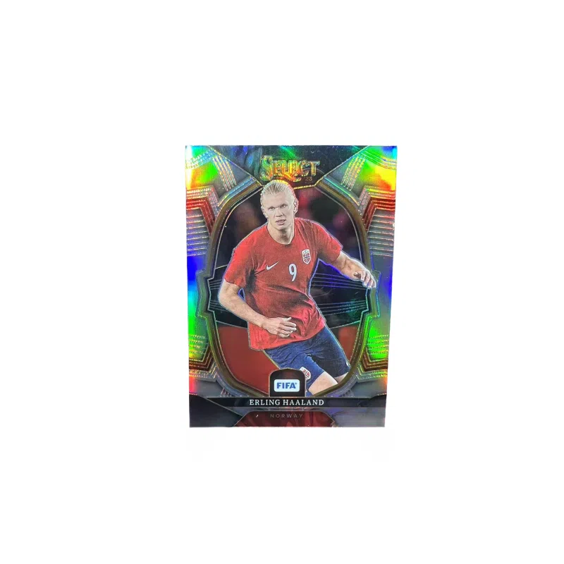PANINI FIFA SELECT