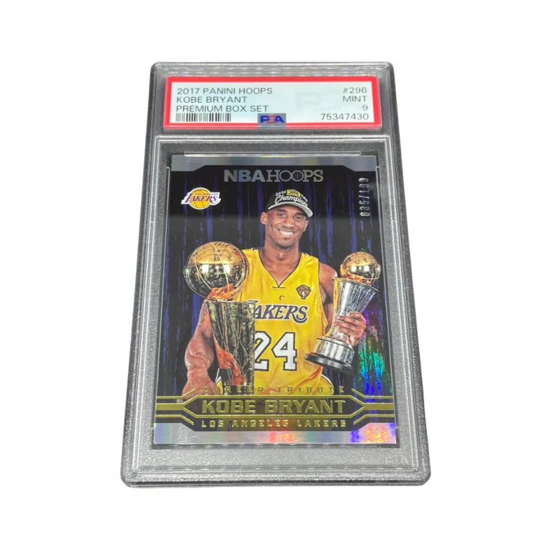 PANINI 2017-18 Hoops 2010 199 PSA9
