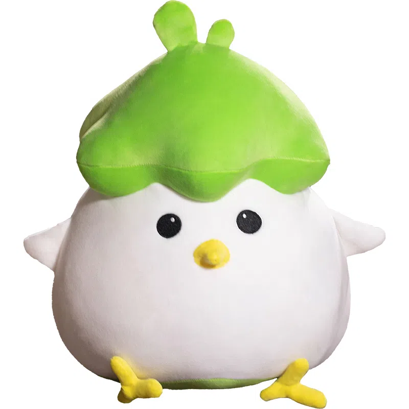 25cm45cm