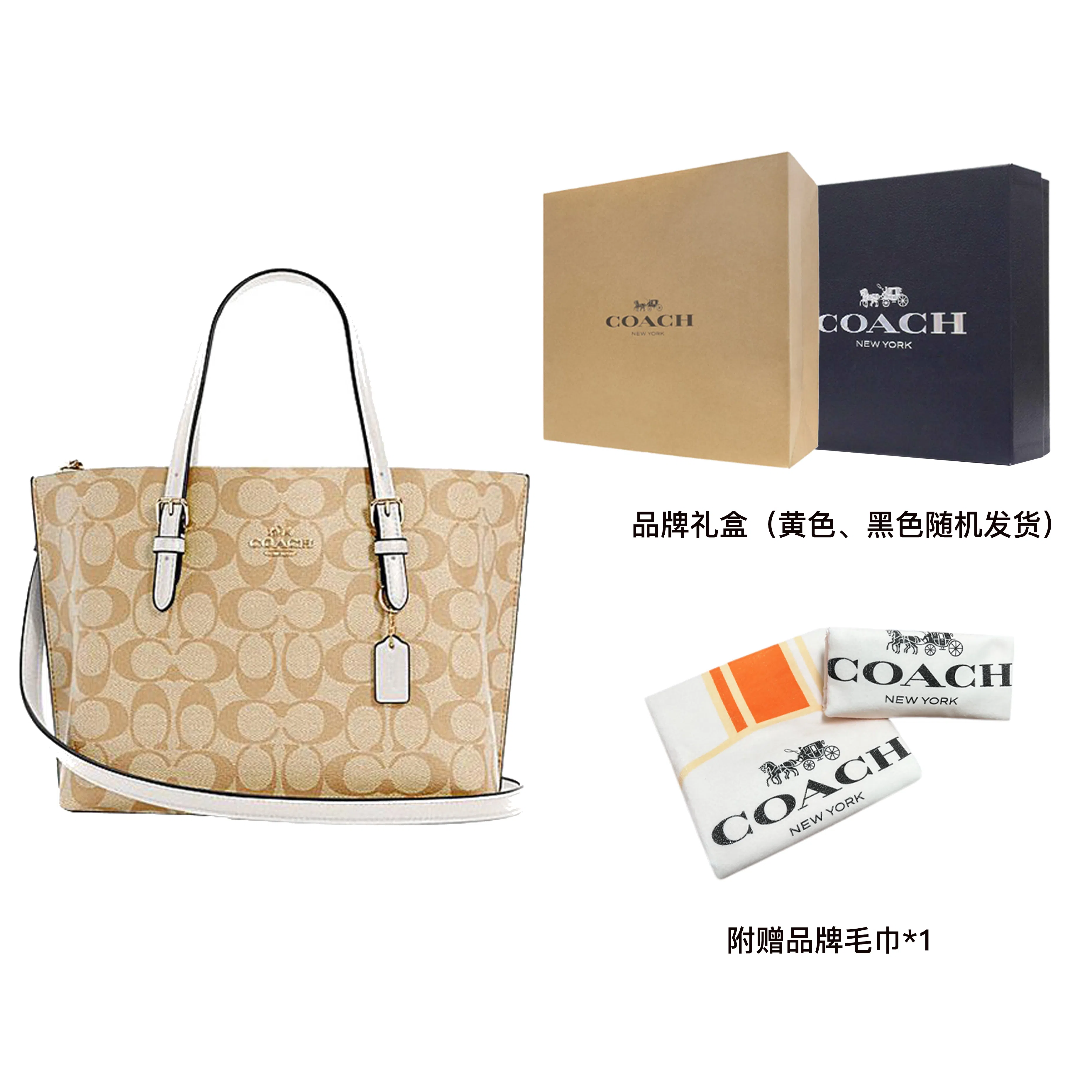 COACH Mollie 25 Tote