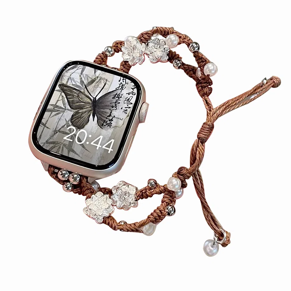 biaodaige Watch FIT3FIT2