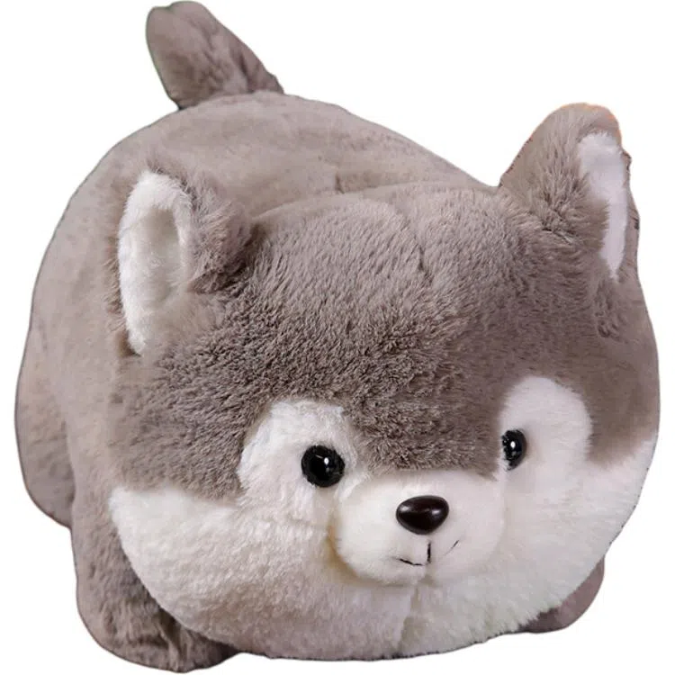 40cm