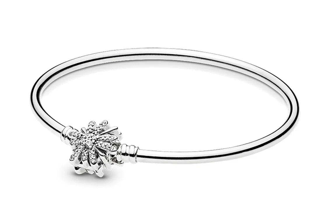 Pandora Bracelet