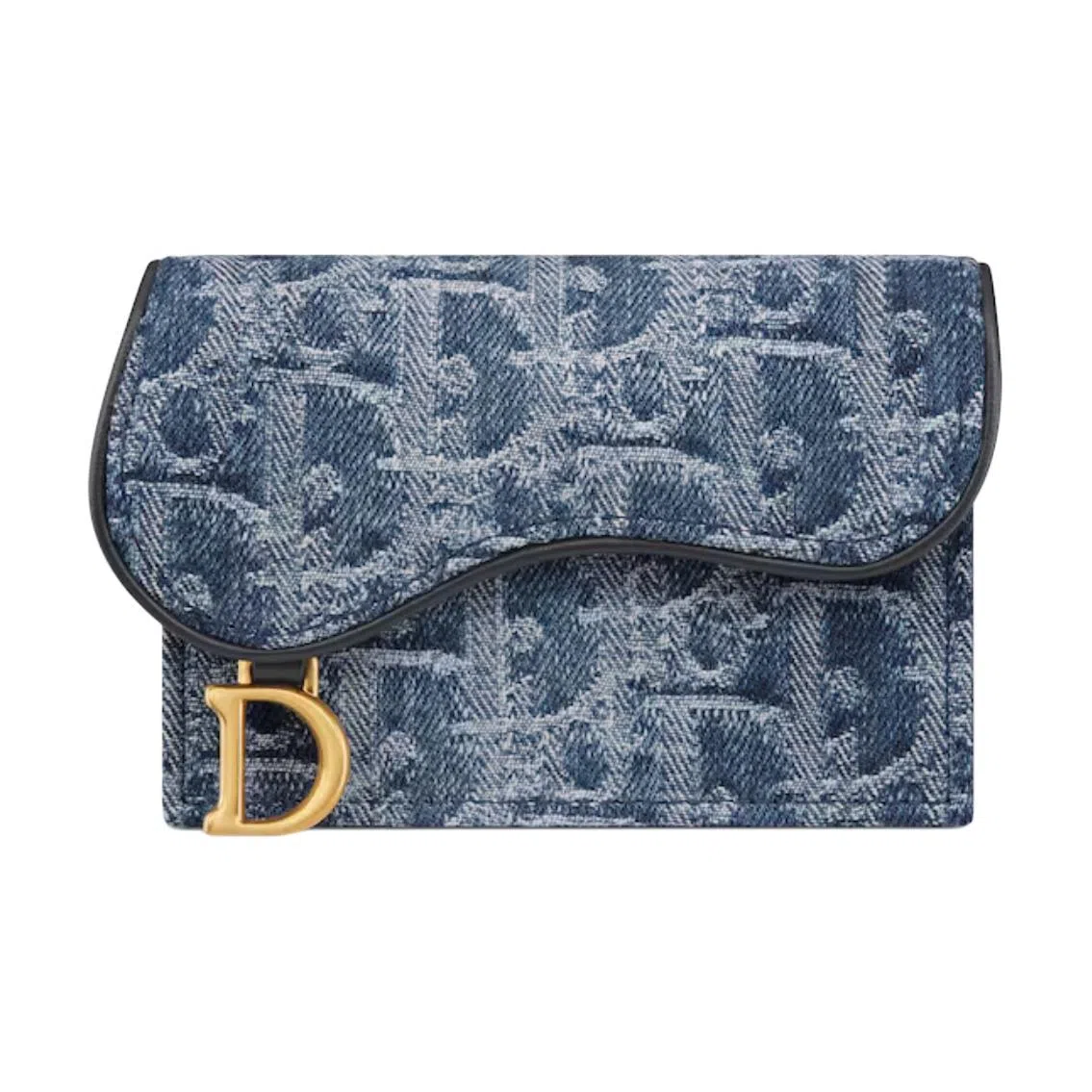 DIOR SaddleOBLIQUE D