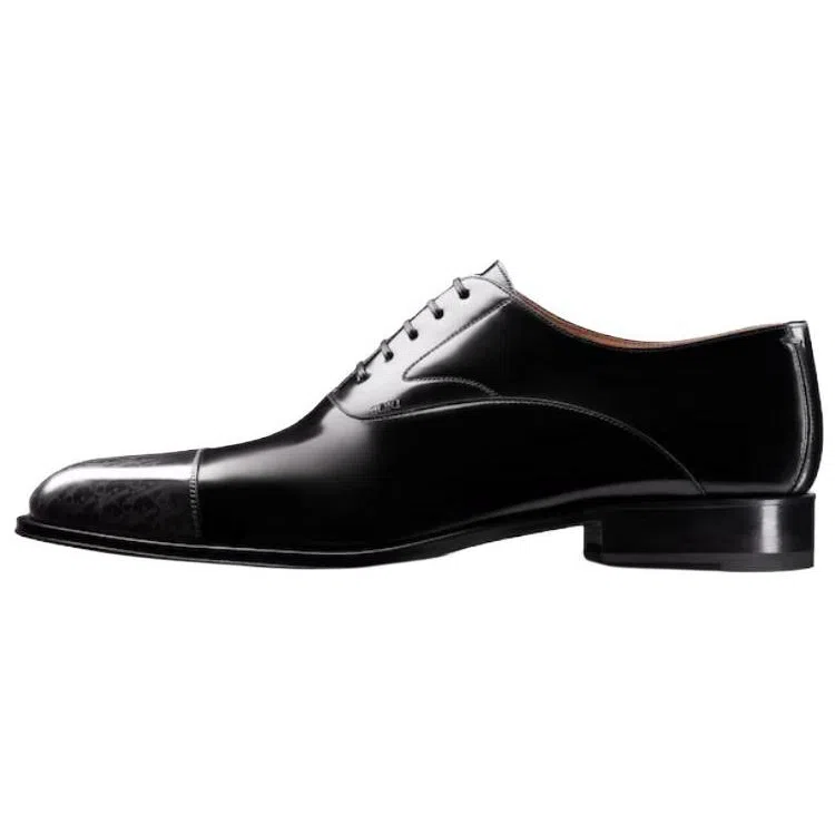 Dior Timeless Oblique