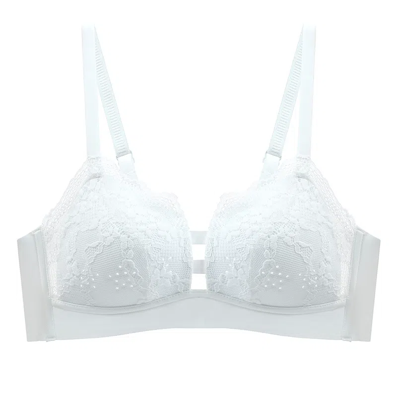 黛尔佳人 聚拢小胸显大透气文胸 女款