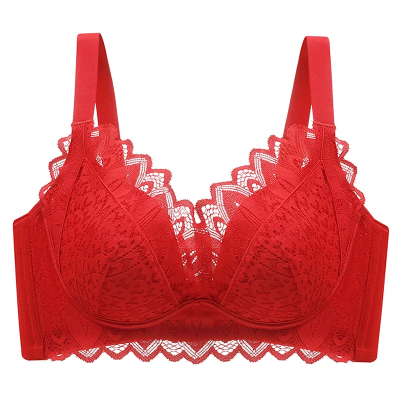 莫代尔 聚拢无钢圈蕾丝上托防下垂收副乳文胸 女款