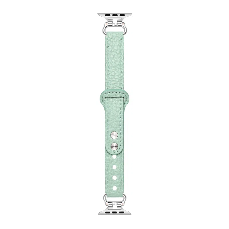 CHENSONG applewatch789SE7S8S9