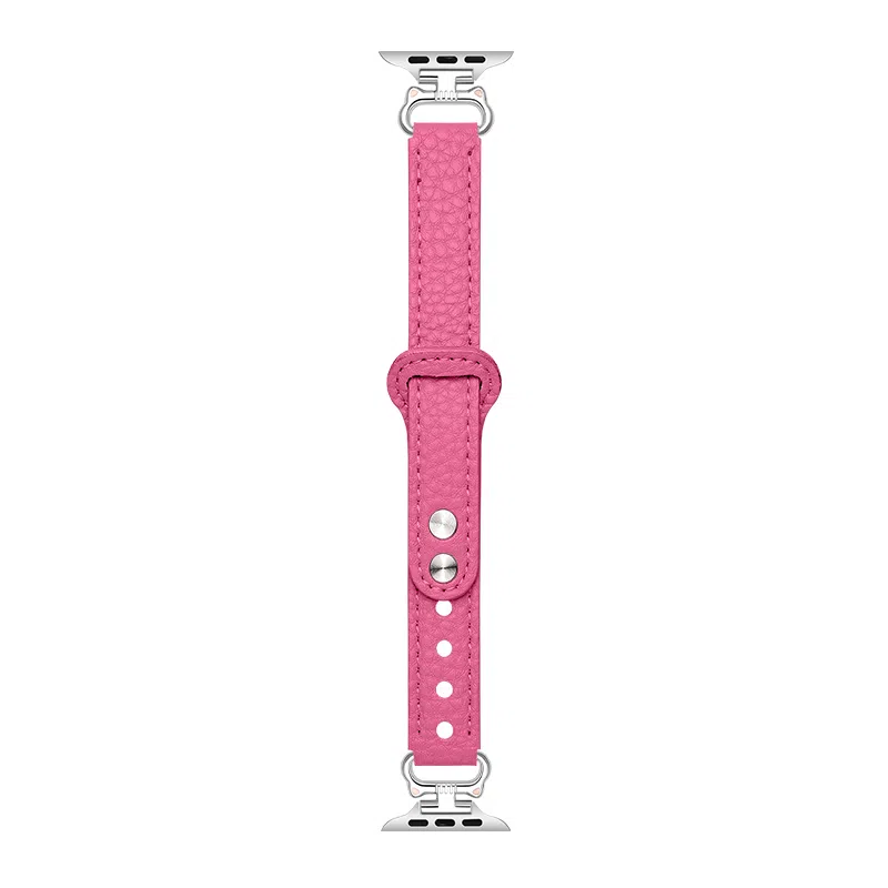 CHENSONG applewatch789SE7S8S9