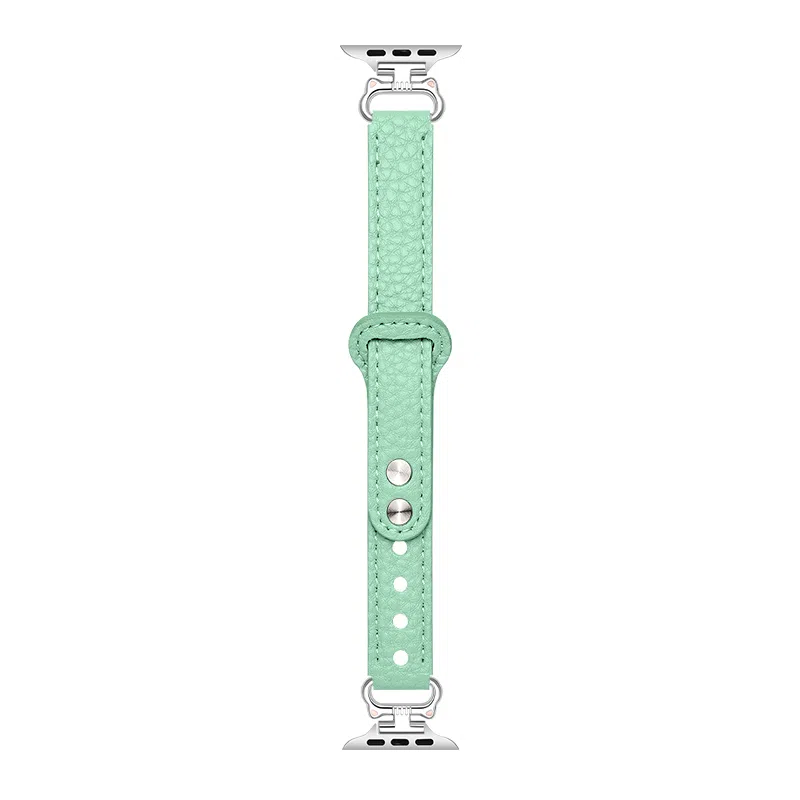 CHENSONG applewatch789SE7S8S9