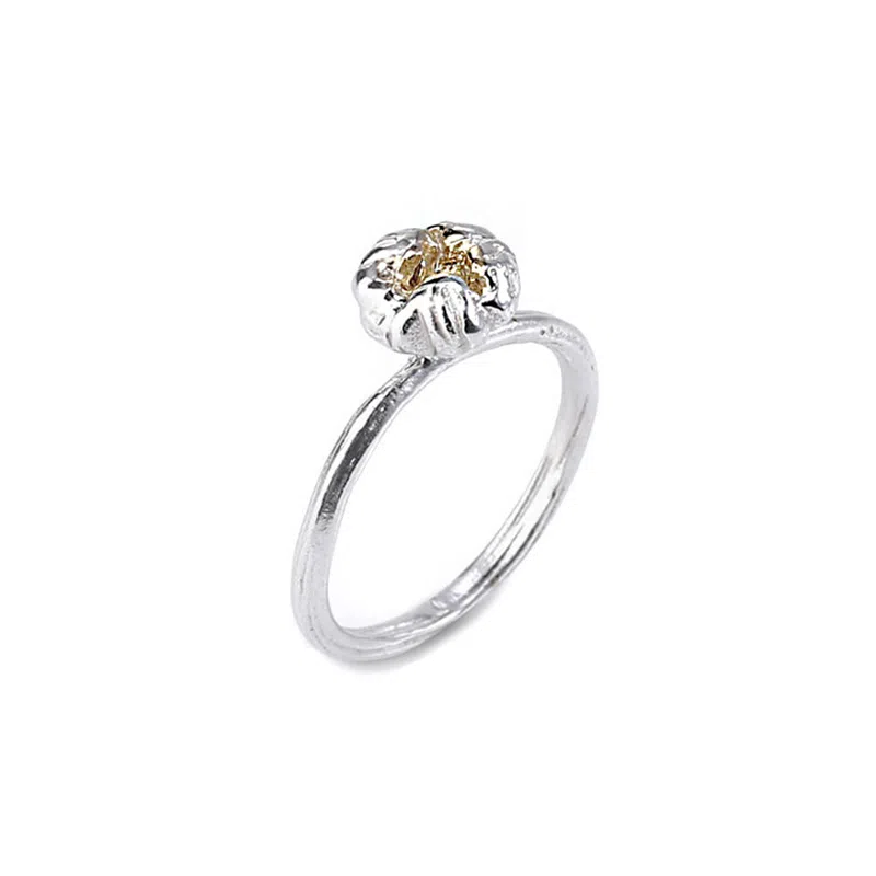 ROGA ins 925