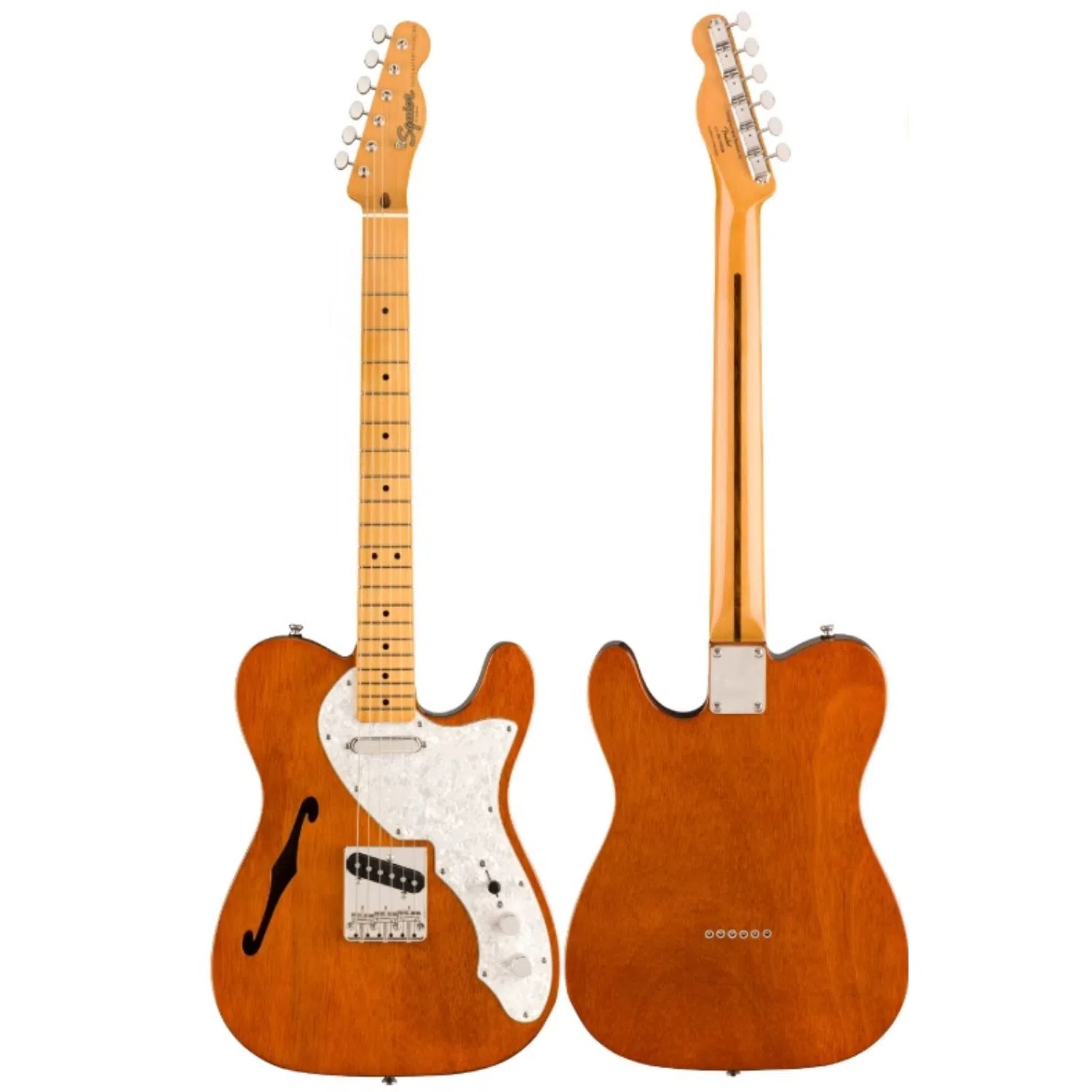 FENDER Squier ClassicVibe 60s ThinLline(CV60 Thinline) Telecaster F