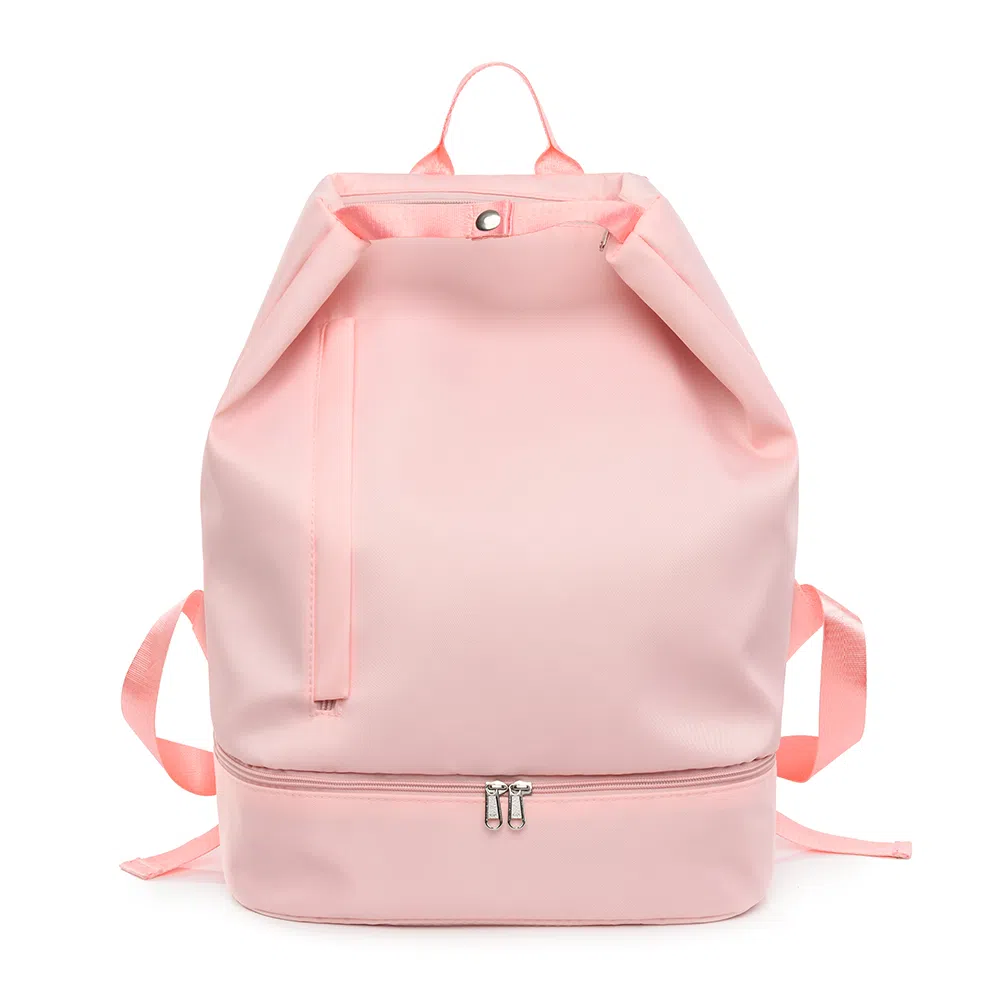 醇龙 运动健身游泳干湿分离带鞋仓大容量沙滩防水收纳袋大学生外出 双肩包 尼龙布 女款 多色