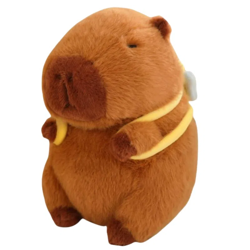 12cm22cm23cm33cm40cm50cm45cm