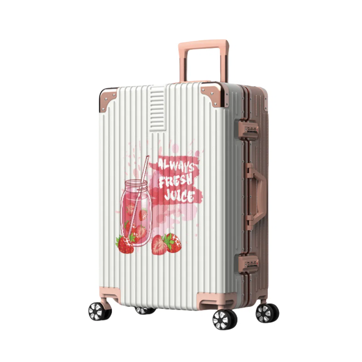 HACIN ABS+PC 20242622