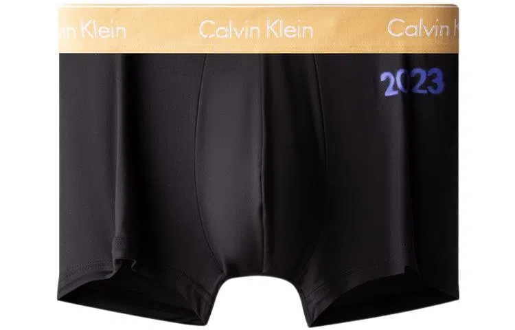 CKCalvin Klein Logo 1