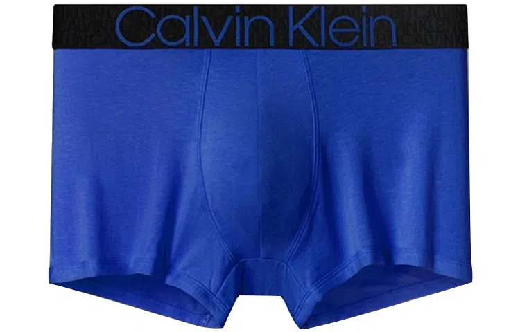 CKCalvin Klein Logo 1