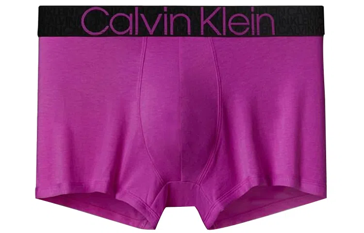 CKCalvin Klein Logo 1