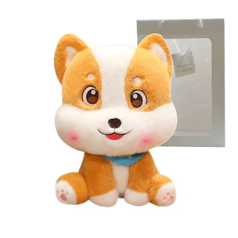 20cm30cm
