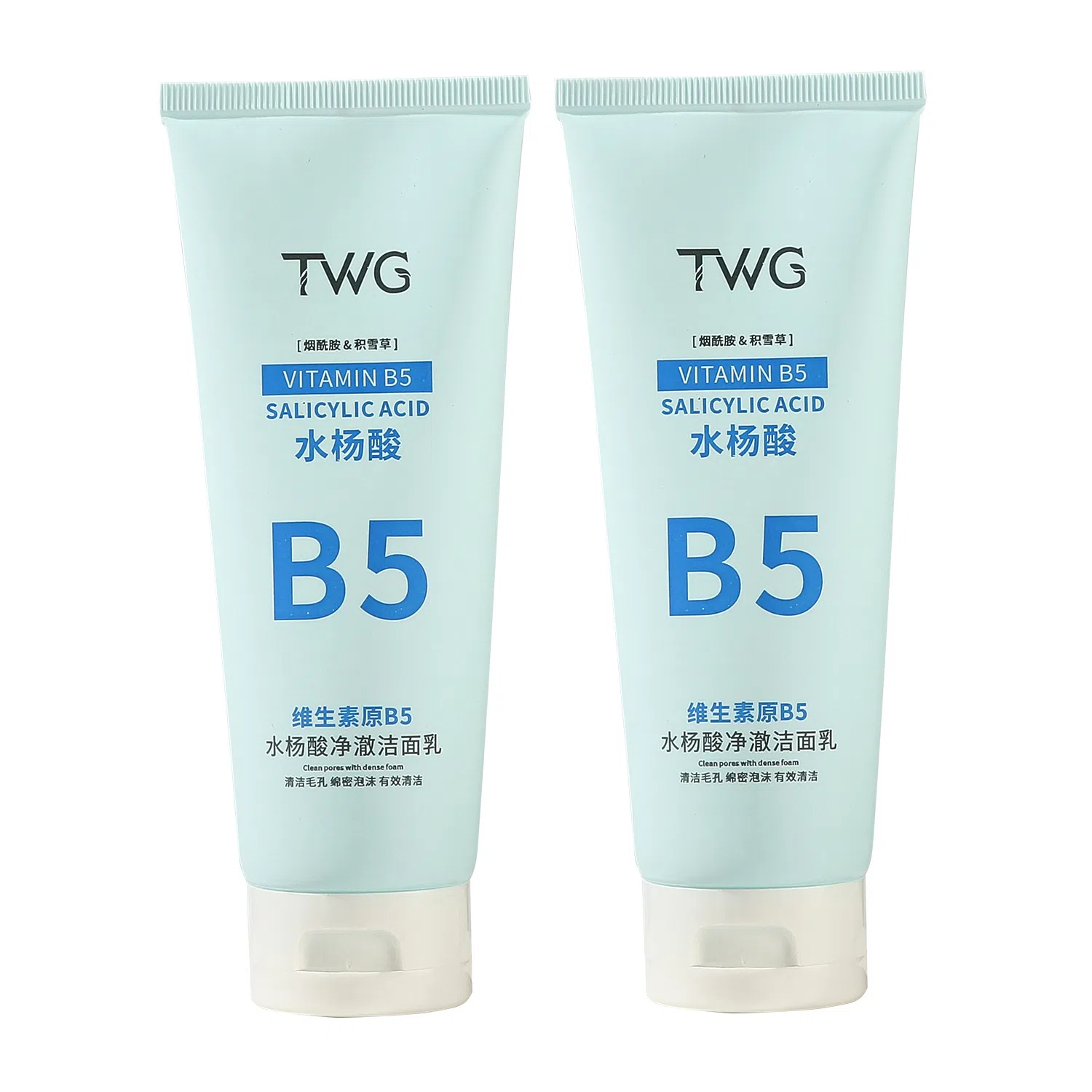 TWG B5 100g