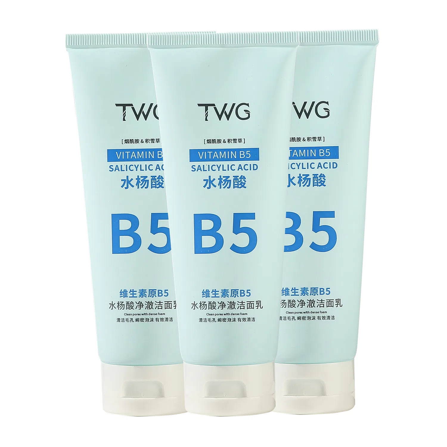 TWG B5 100g