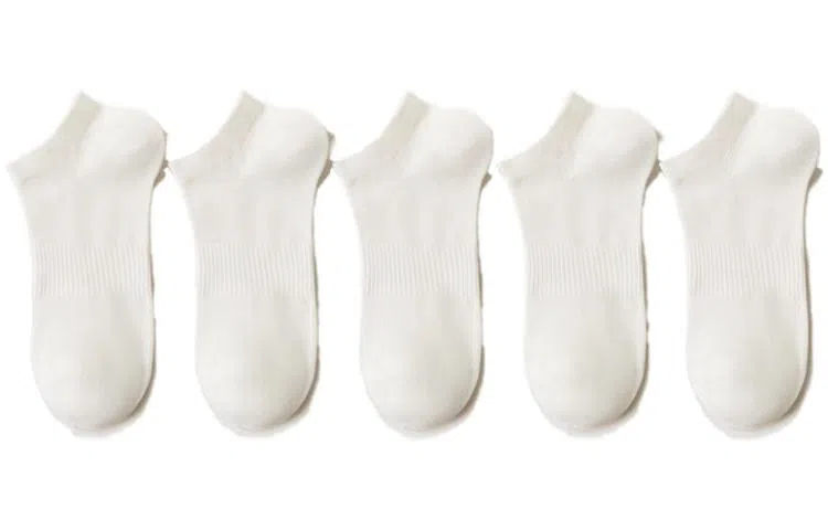 August FW23 5
