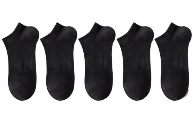 August FW23 5