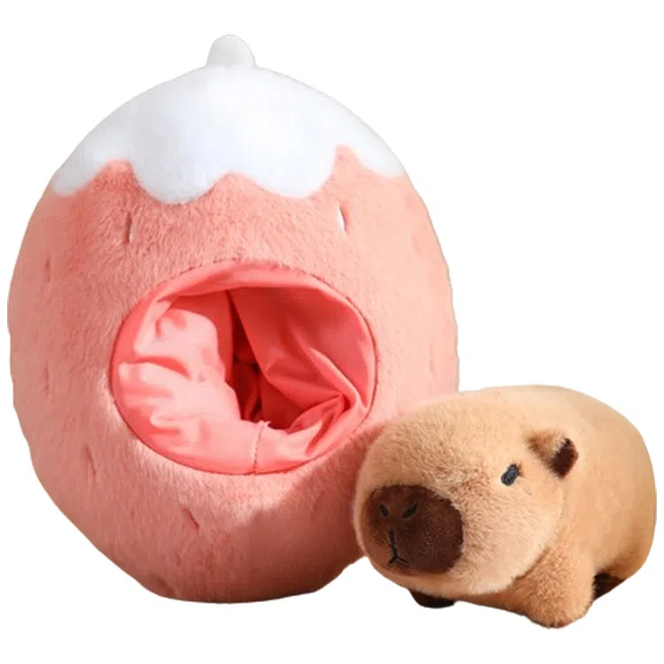 ZHUOQU 20cm30cm35cm45cm