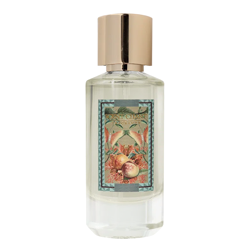 SCENT CHANT A Kiss After Shave EDP 56ml
