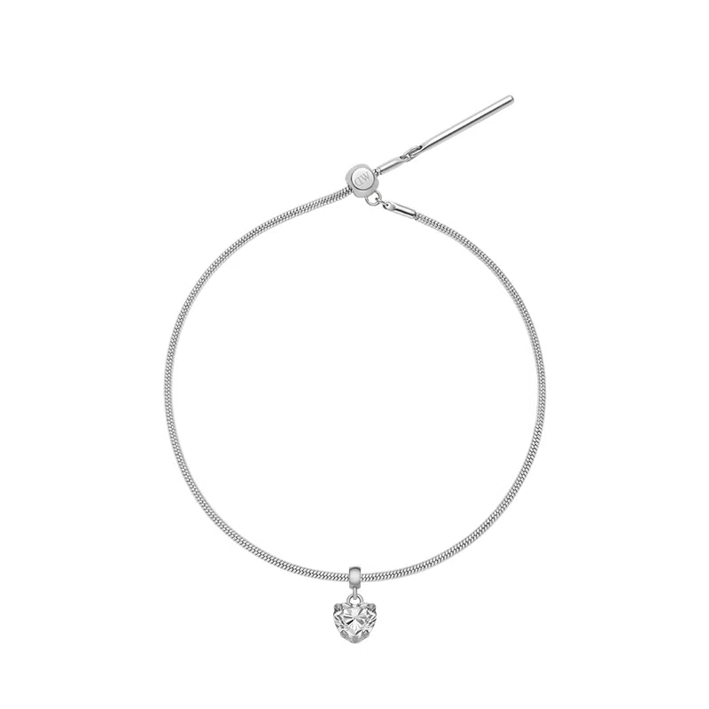 Daniel Wellington DW CHARMS 925