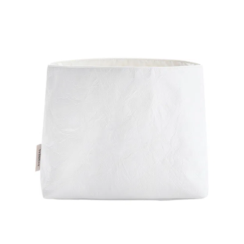 bagINBAG MiumiuIVY