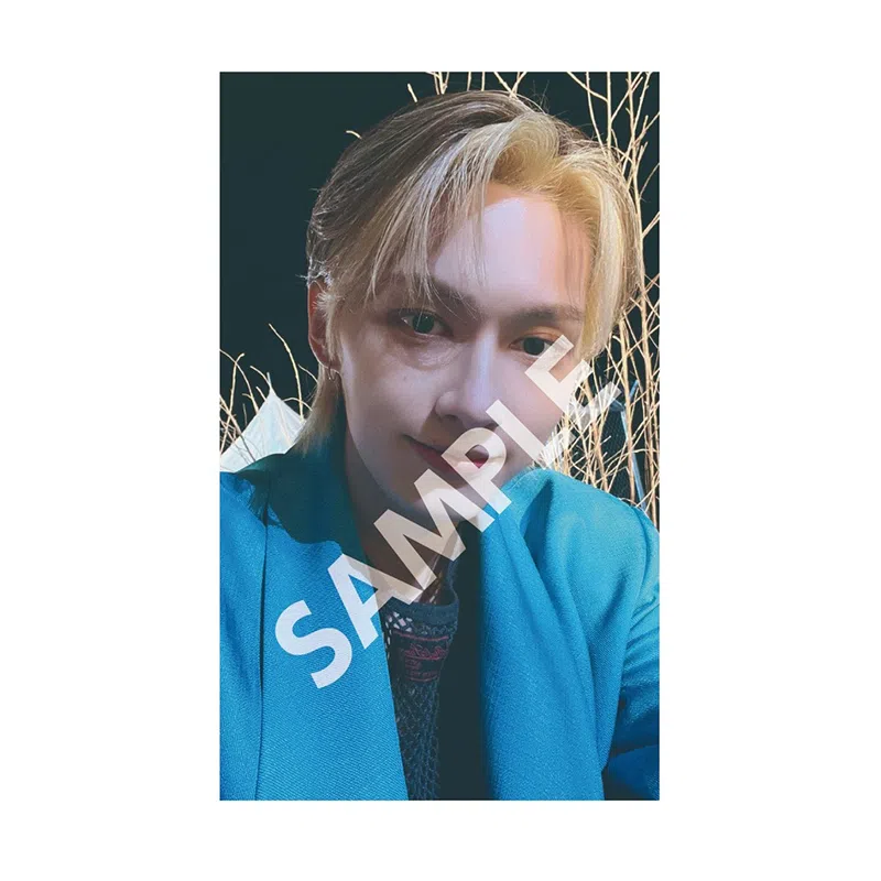 HYBE SEVENTEEN LOVE