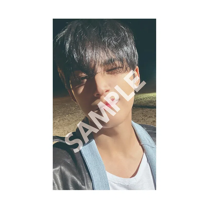 HYBE SEVENTEEN LOVE
