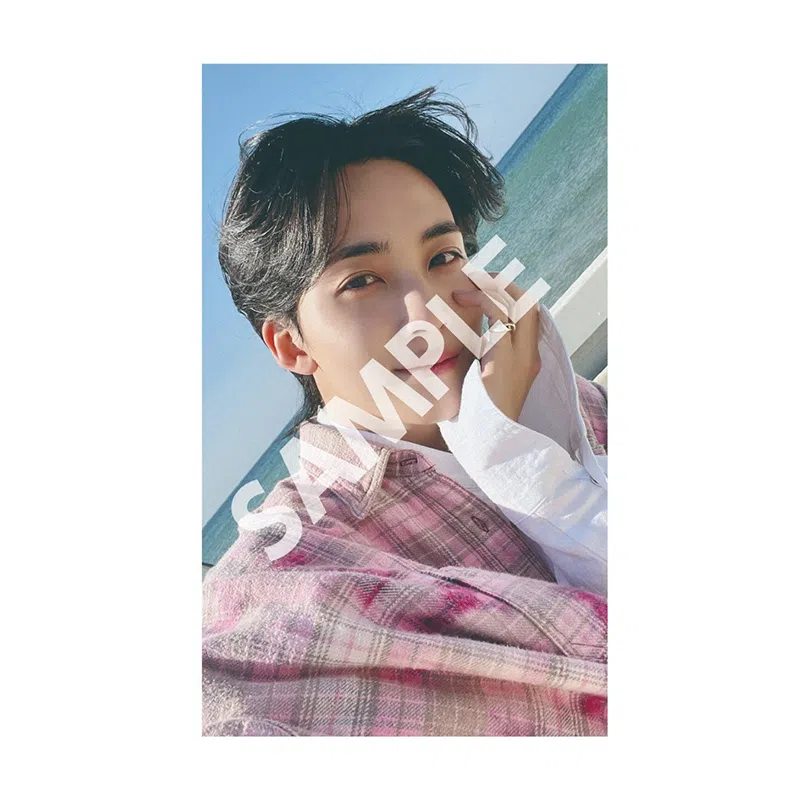 HYBE SEVENTEEN LOVE
