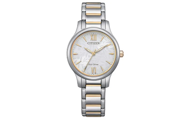 CITIZEN Eco Drive 50 EM0895-73A