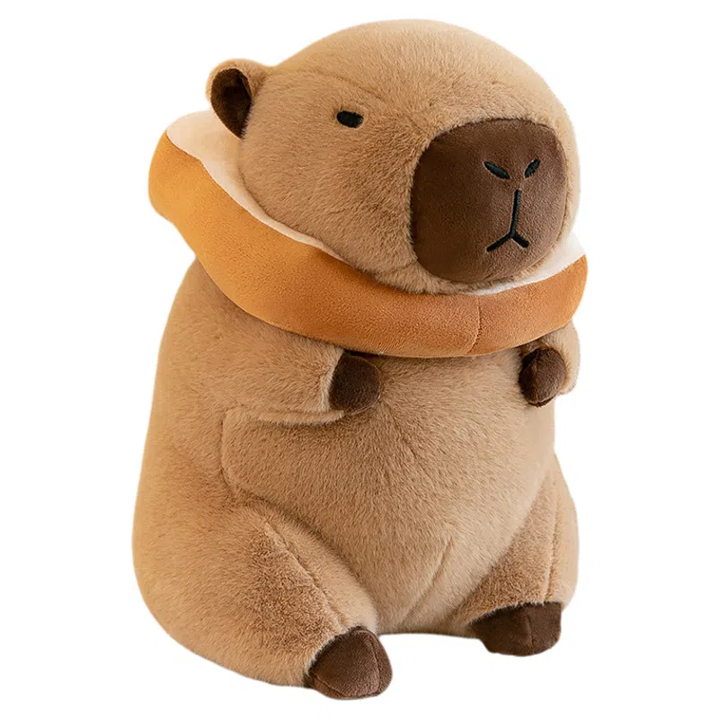 abay 30cm35cm
