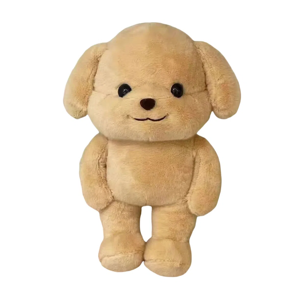 20cm30cm