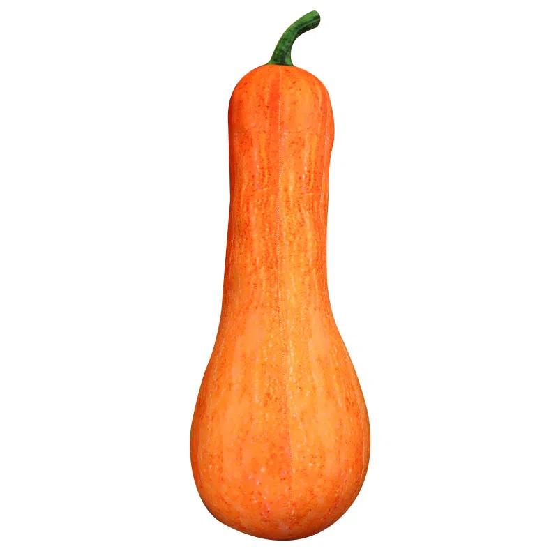 20cm40cm60cm80cm100cm120cm