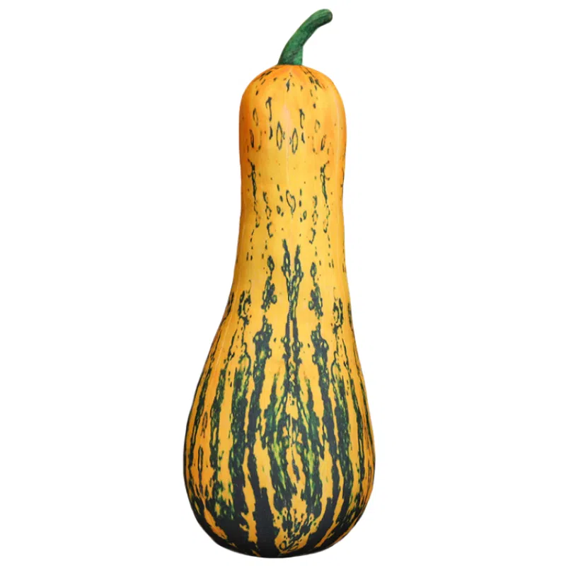 20cm40cm60cm80cm100cm120cm