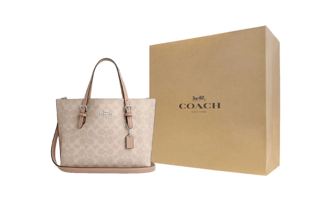 COACH Mollie 25 Tote