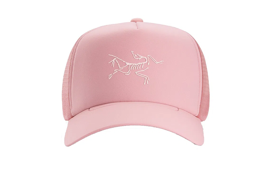 Arcteryx bird trucker