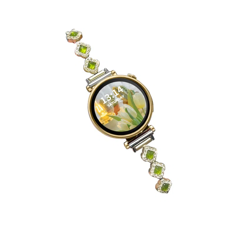 MSSM watch GT444ProGT3GT3pro33proBudsultimate