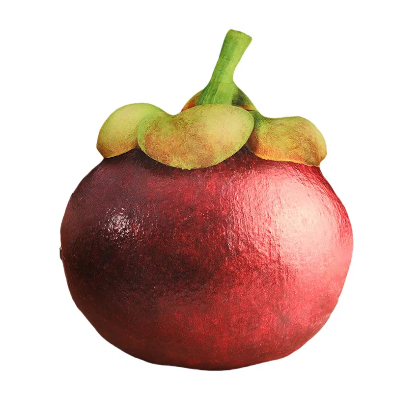 30cm35cm40cm45cm50cm